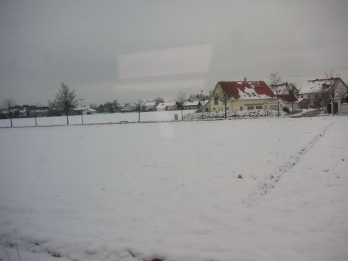 Wacker Burghausen - VfL Bochum - photo
